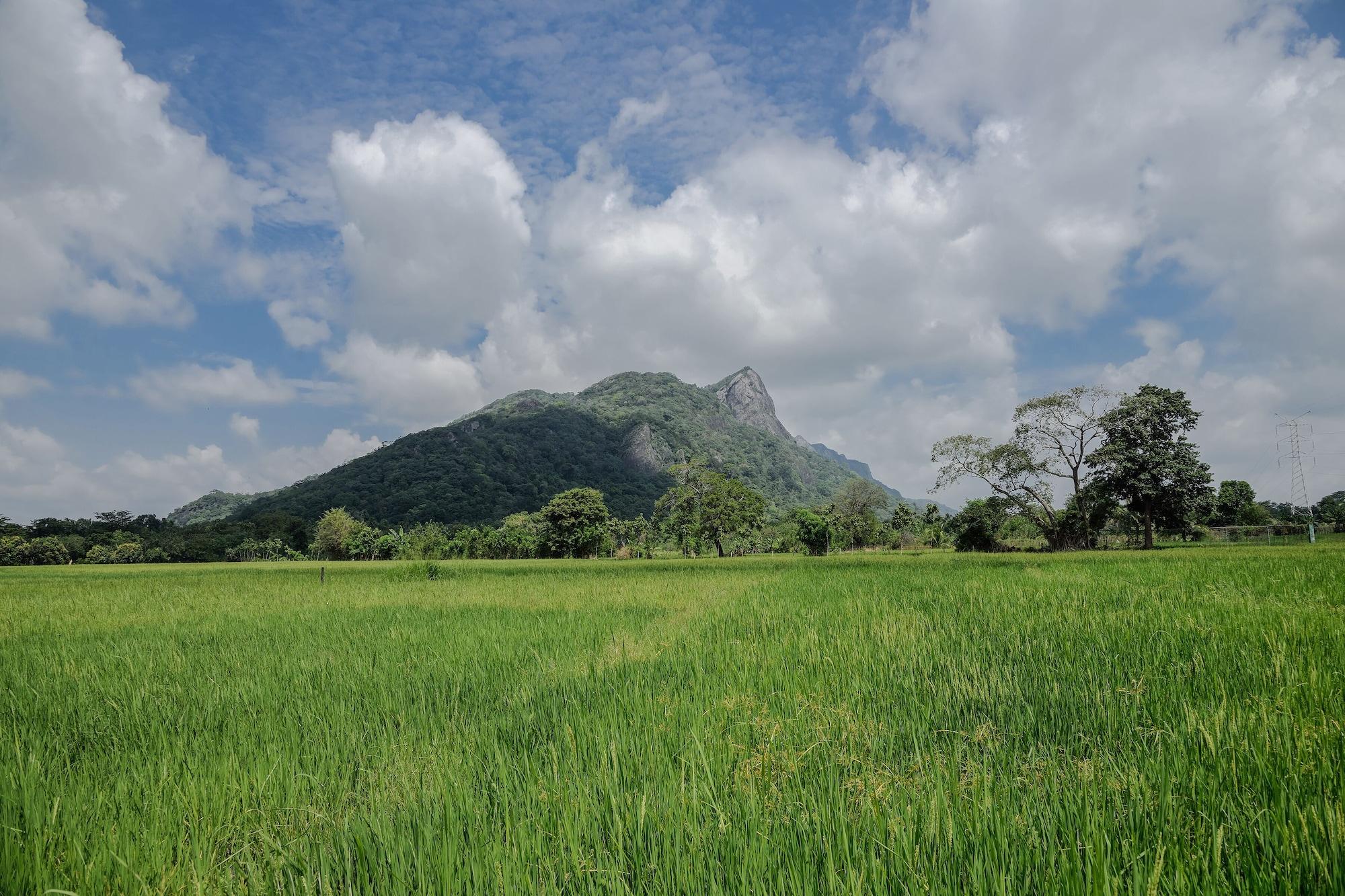 กาลุนเดวา รีสอร์ท ดัมบูลลา ภายนอก รูปภาพ